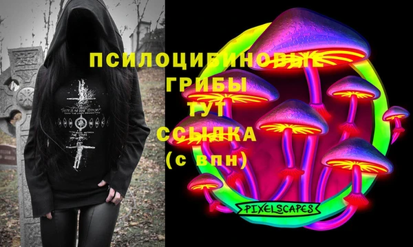 мдпв Алзамай