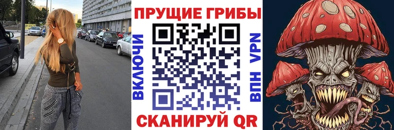 Псилоцибиновые грибы мухоморы  где можно купить   Ахтубинск 